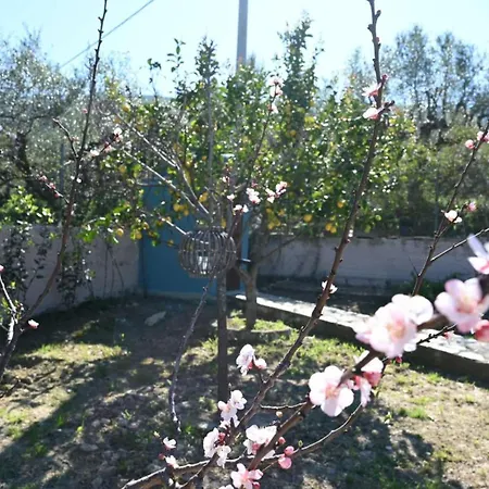 Ionnisos Mouzákion